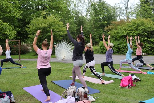 Mehrere Frauen stehen auf einer Wiese mit Matten in einer Yoga-Position